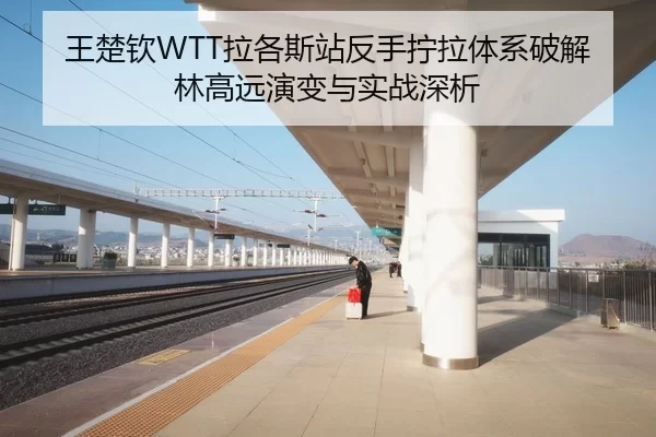 王楚钦WTT拉各斯站反手拧拉体系破解林高远演变与实战深析