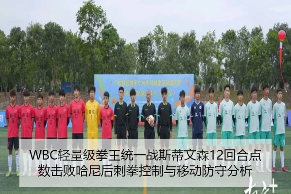 WBC轻量级拳王统一战斯蒂文森12回合点数击败哈尼后刺拳控制与移动防守分析